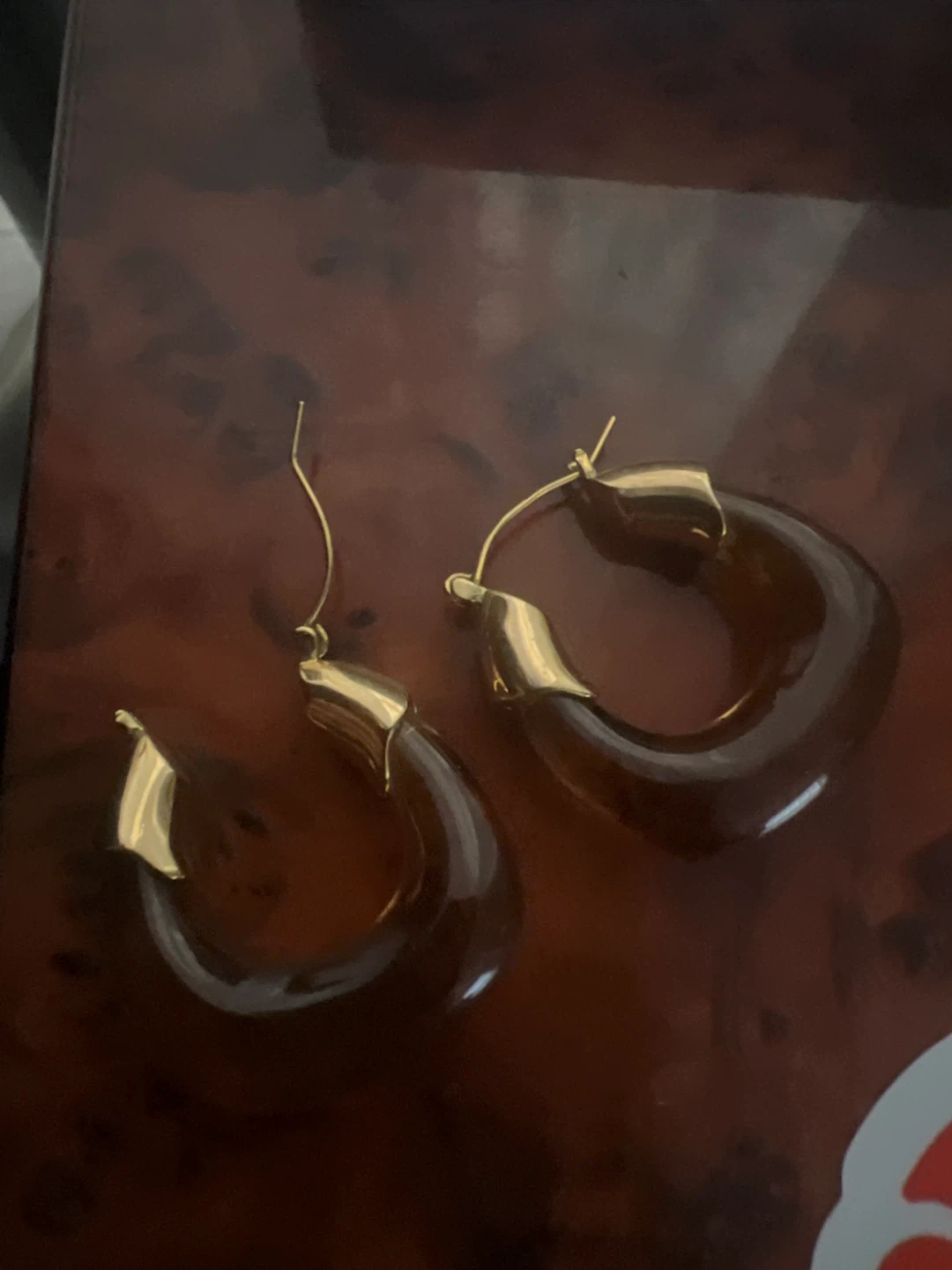 Brown Hoop Earrings