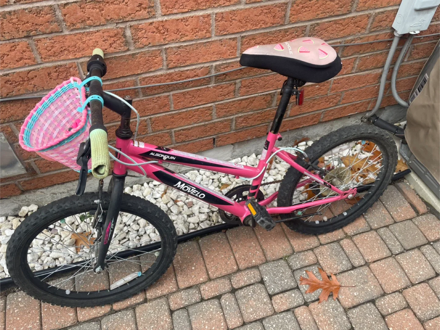 Movelo Algonquin Kids Bike 20 - Pink