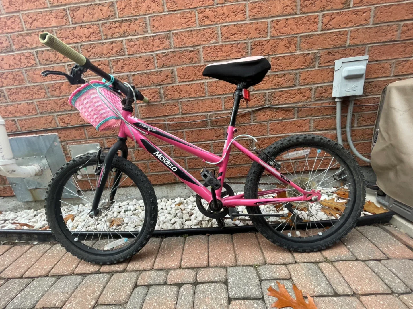 Movelo Algonquin Kids Bike 20 - Pink image indicator(2)