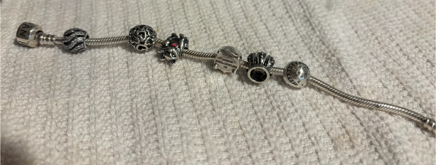 Pandora Silver Charm Bracelet