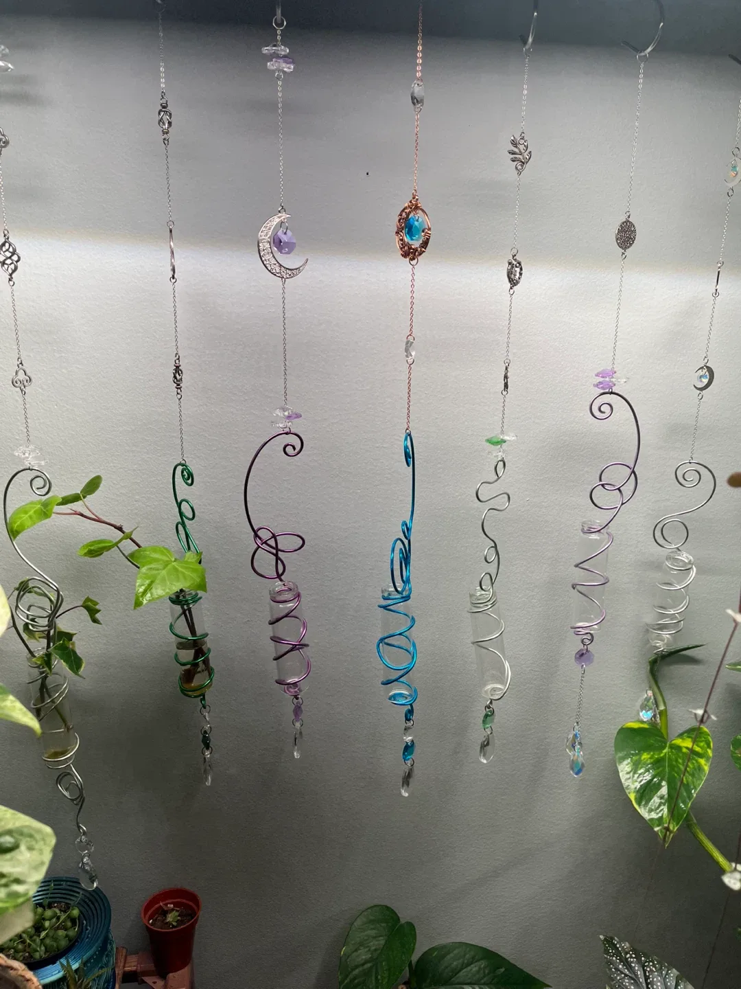 Hanging Suncatcher Propagation Jars☀️🌿