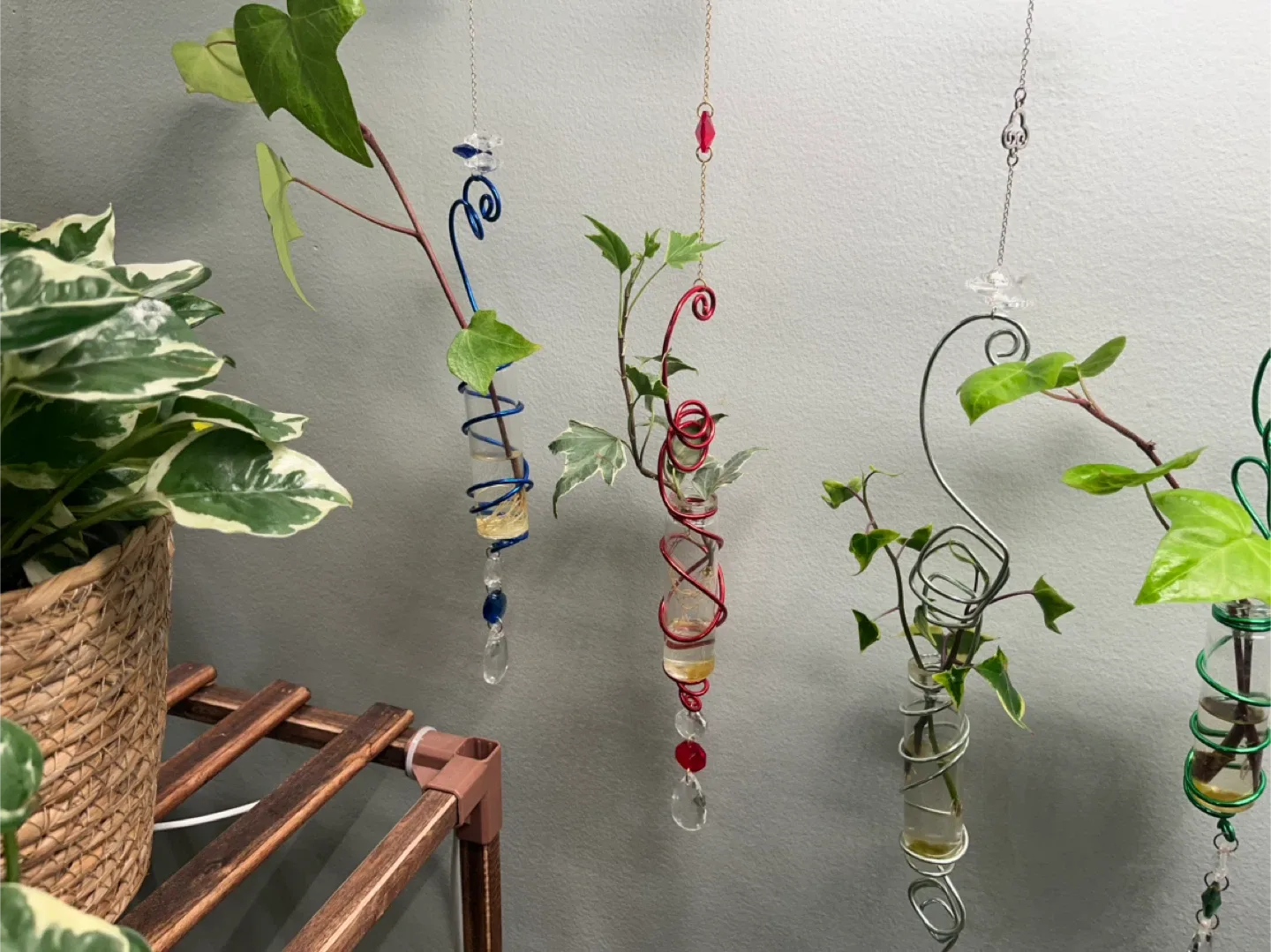 Hanging Suncatcher Propagation Jars☀️🌿 image indicator(3)