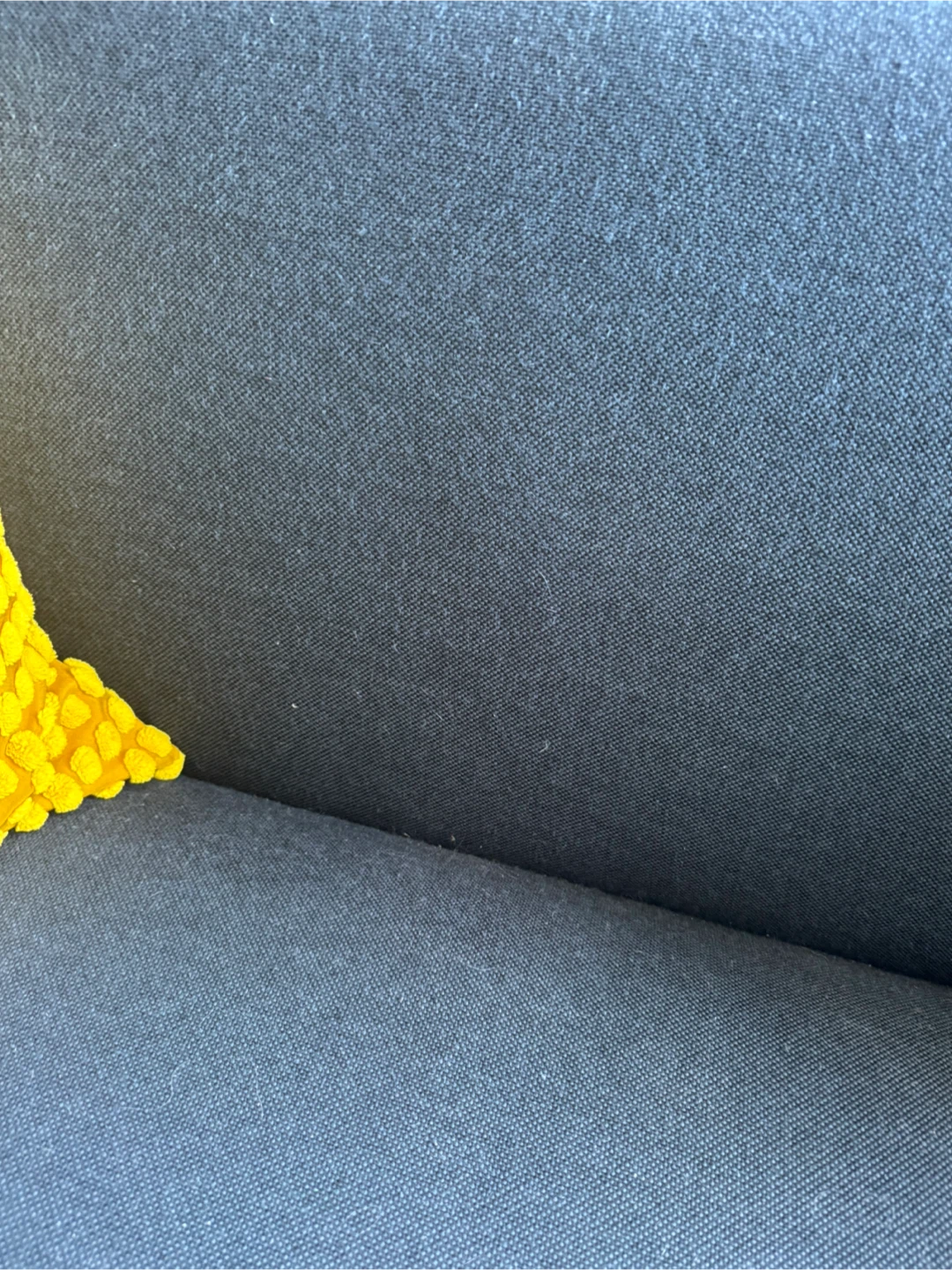 Blu Dot Sofa - photo 3