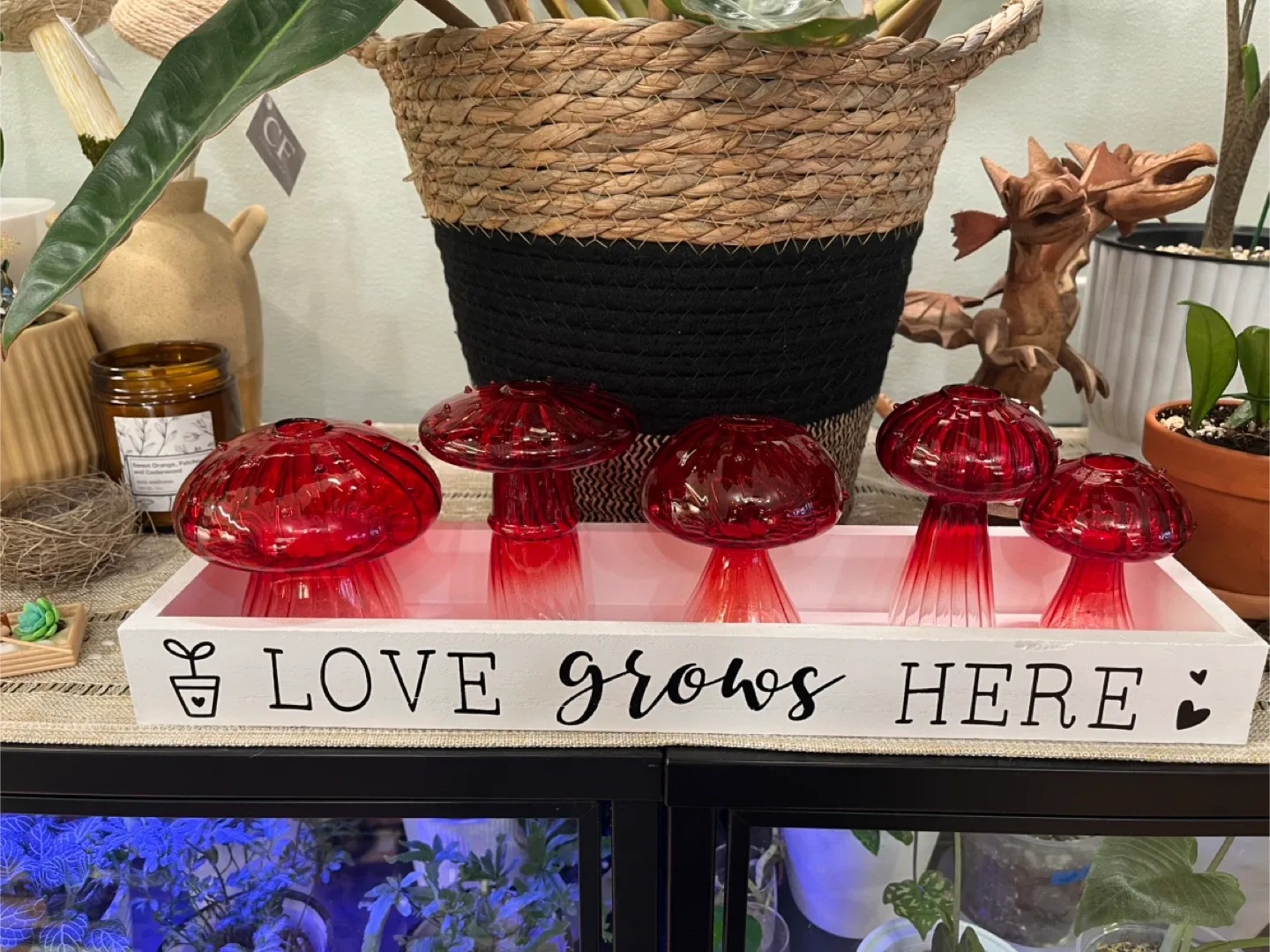 Glass Mushroom Propagation Jar sets image indicator(2)