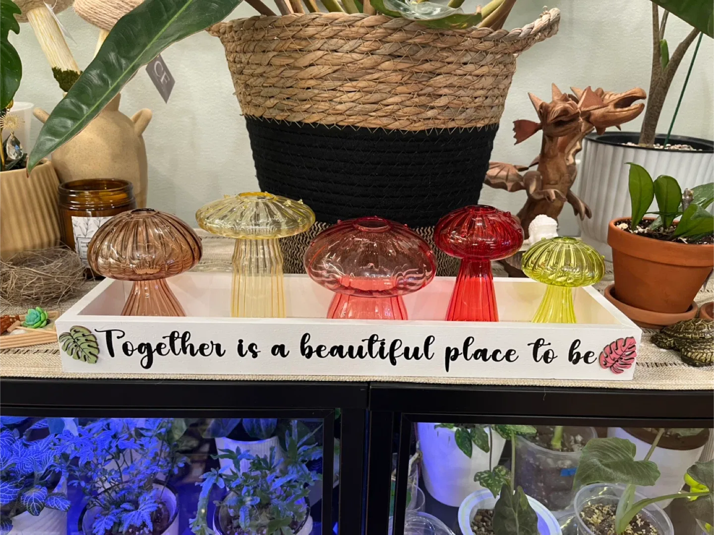 Glass Mushroom Propagation Jar sets image indicator(3)