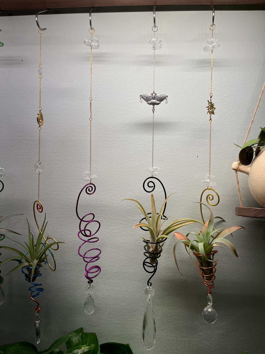 🌱✨Airplant Holder Suncatchers☀️ - photo 3