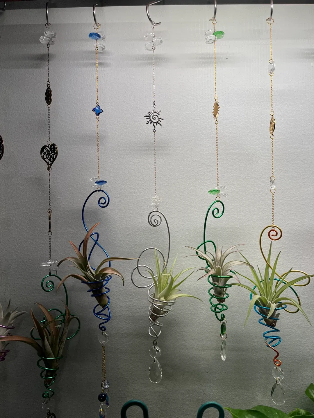 ☀️Live Airplant Suncatchers☀️ image indicator(2)