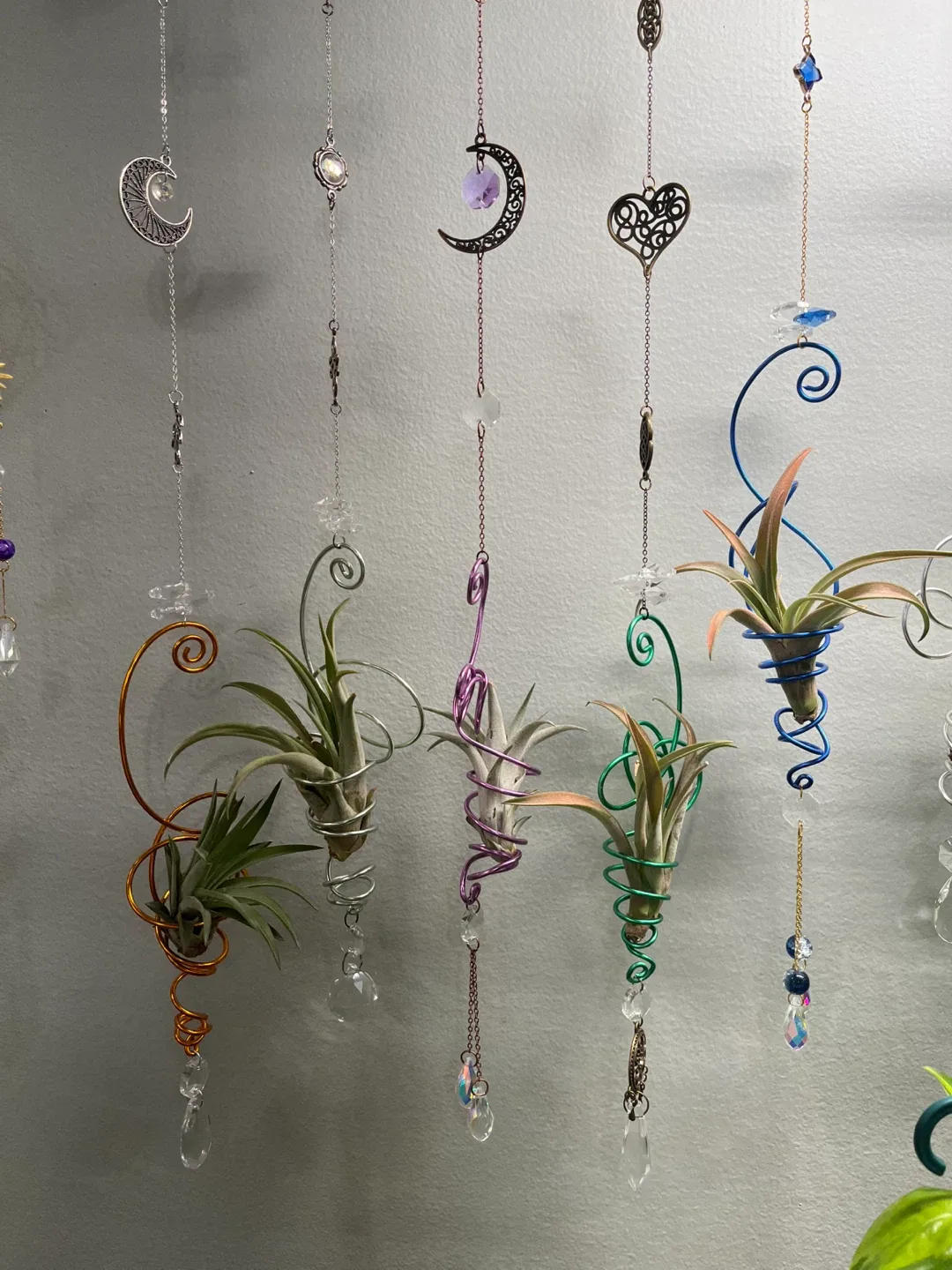 ☀️Live Airplant Suncatchers☀️