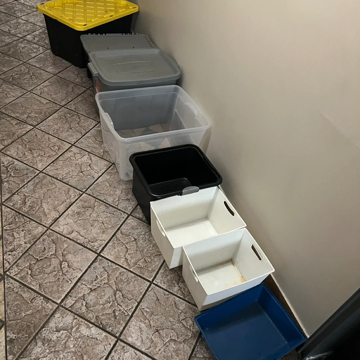 Variety of Storage Totes and Bins