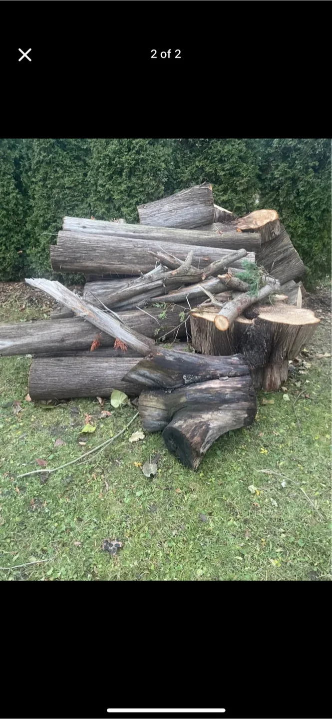 Cedar firewood