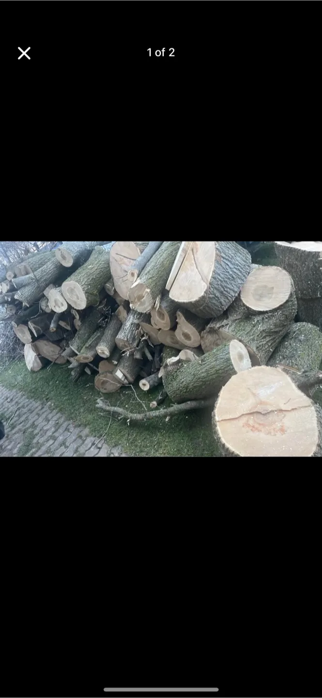 Firewood Manitoba maple