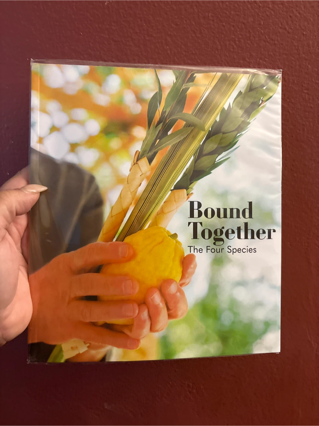 Bound Together: The Four Species