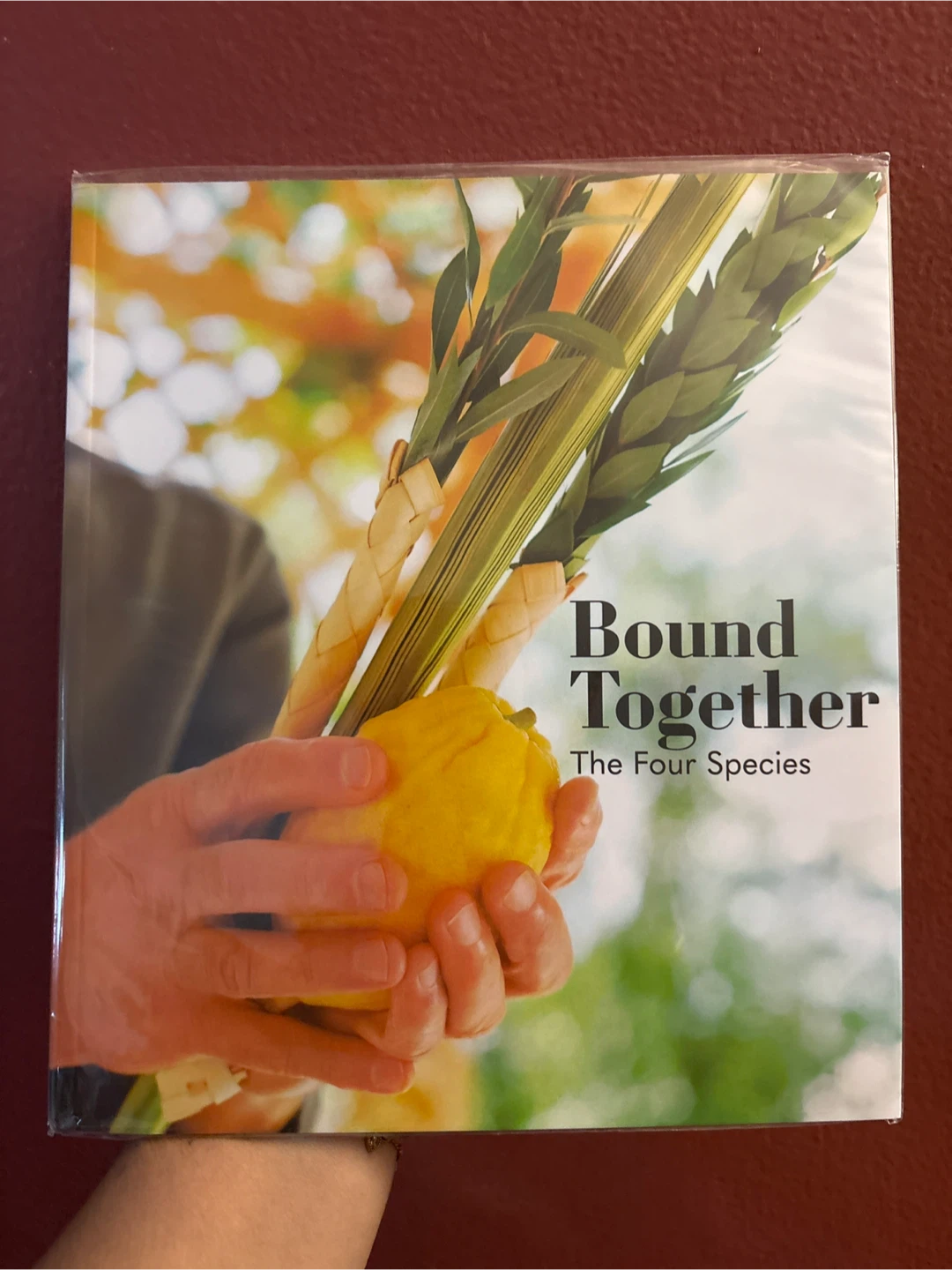 Bound Together: The Four Species - photo 4