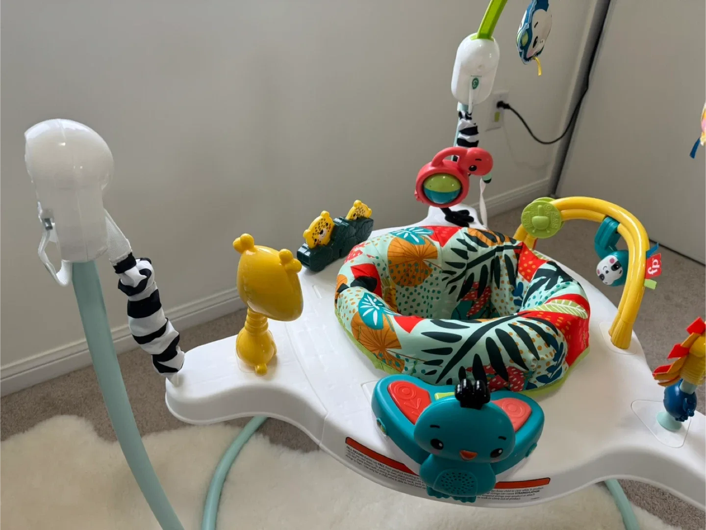 Fisher-Price Jumperoo Activity Center