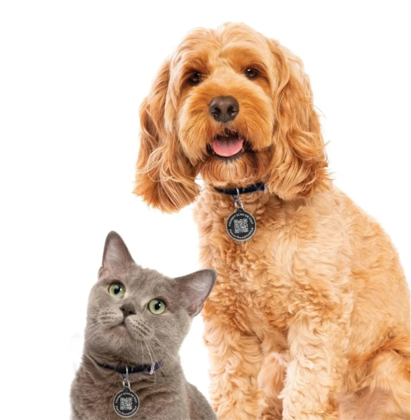 Pawscout The Smart Pet Tag - New! image indicator(2)