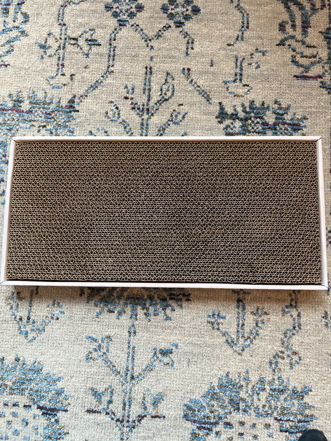 Cat Scratch Lounge Bed