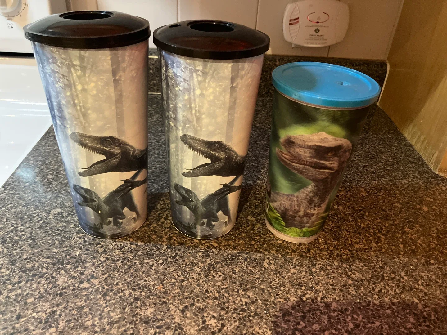 Dinosaur Tumblers