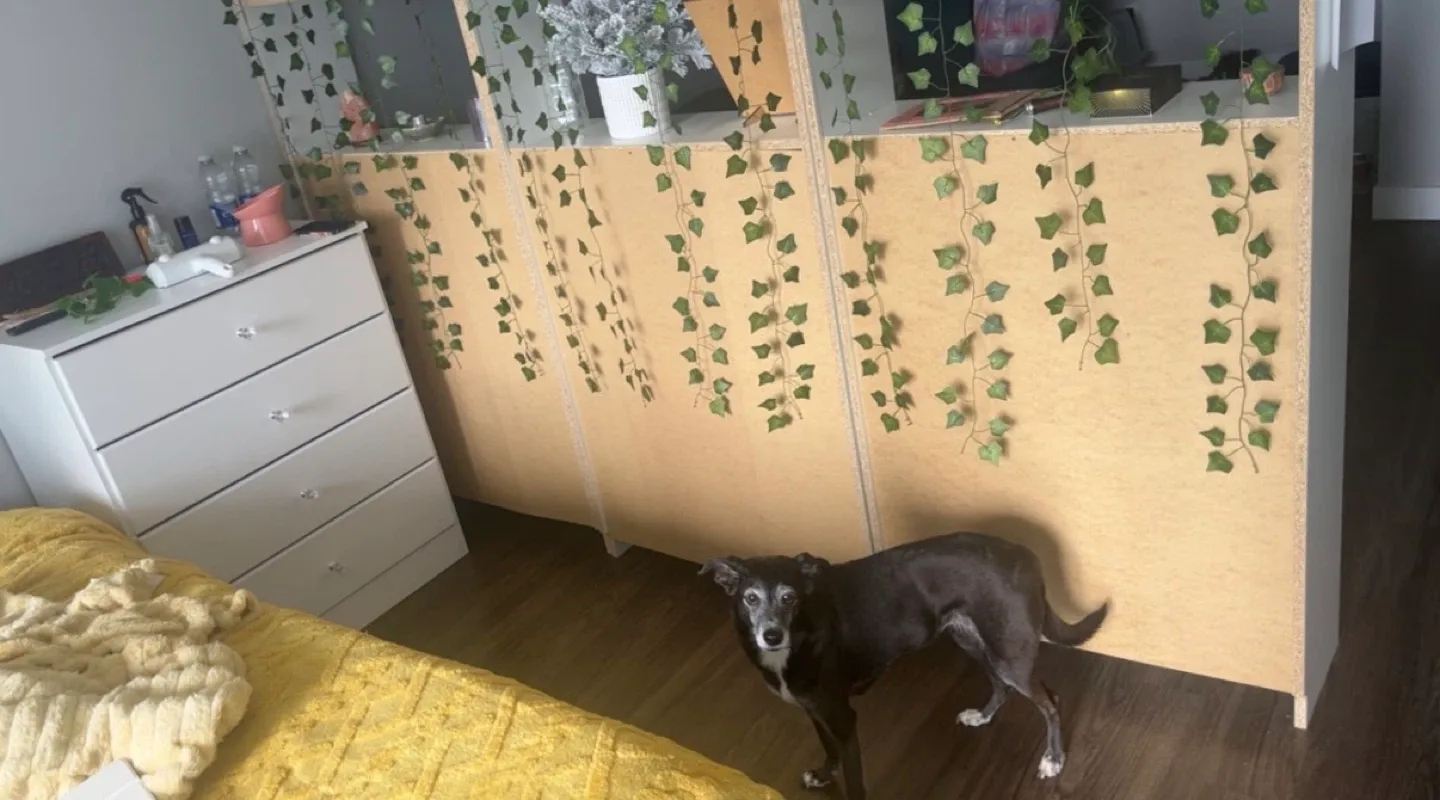 IKEA Billy Bookcase - White, Tall image indicator(4)