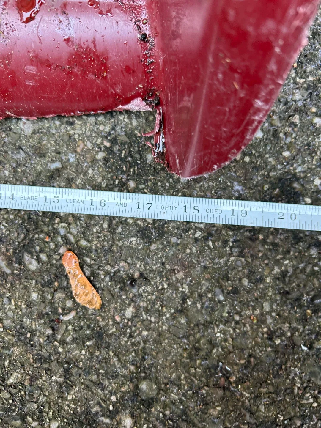 $15  Sleigh snow shovel scoop  pusher Donlands O'Connor image indicator(5)