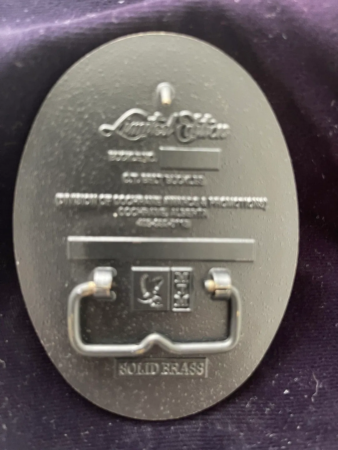 Reed-Hycalog Record Bit Run Belt Buckle image indicator(2)