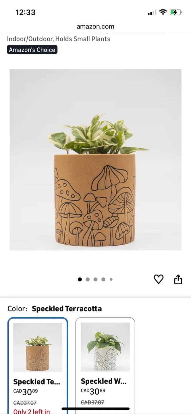 Mushroom Design Planter  2 for $35