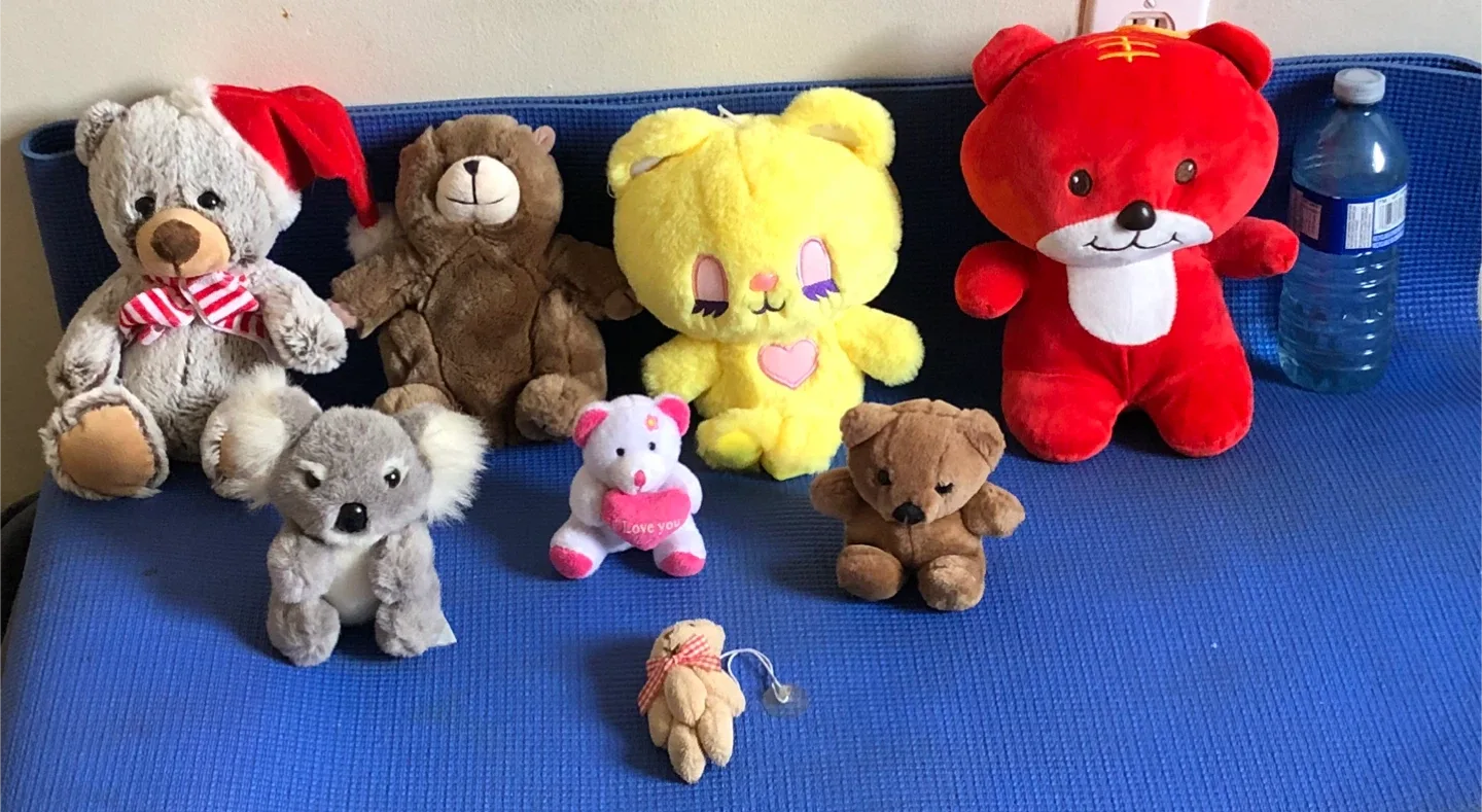 Assorted Plush Toys - Teddy Bears & More! image indicator(2)