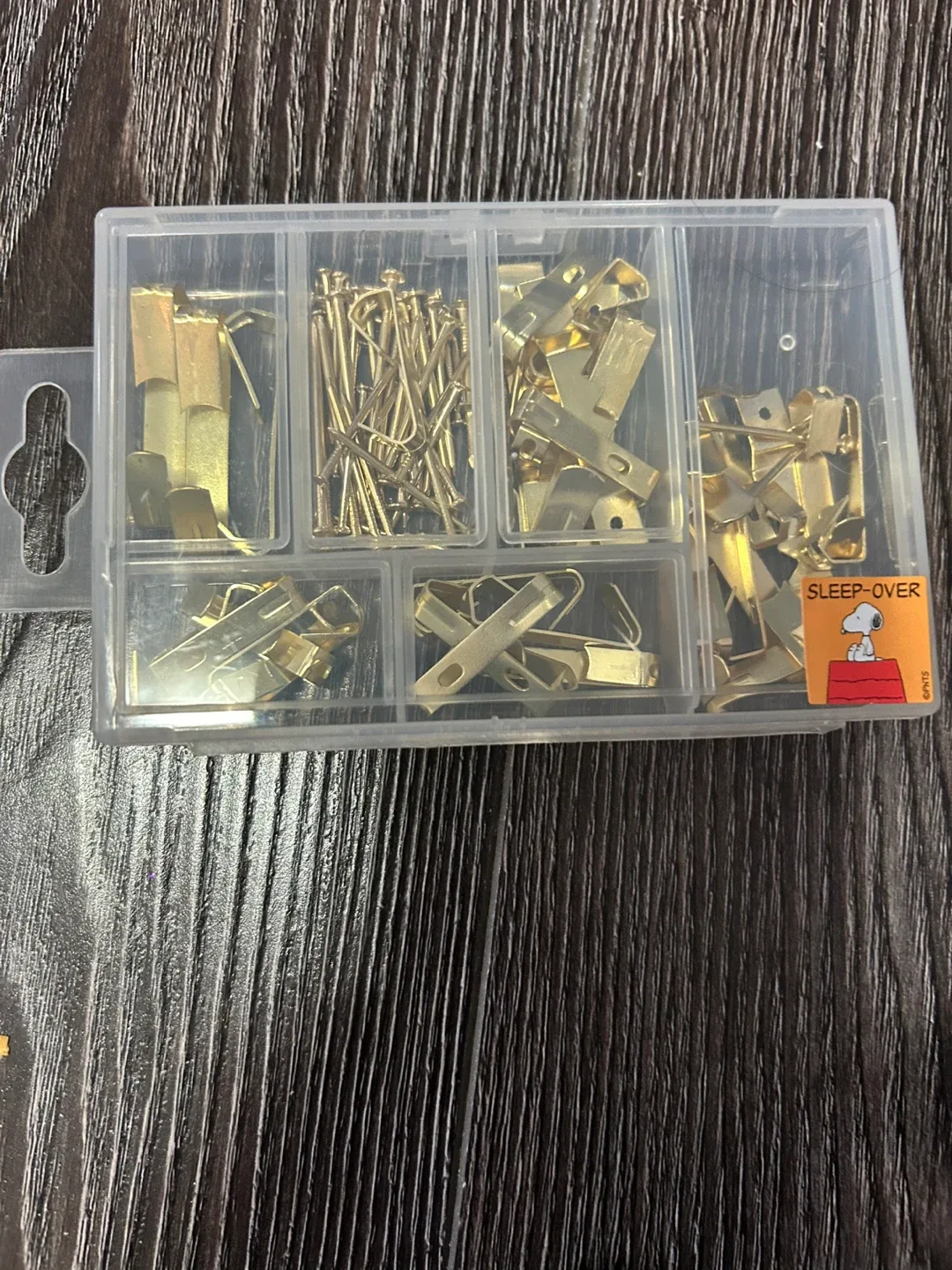 Picture Hanging Kit with Nails & Hooks