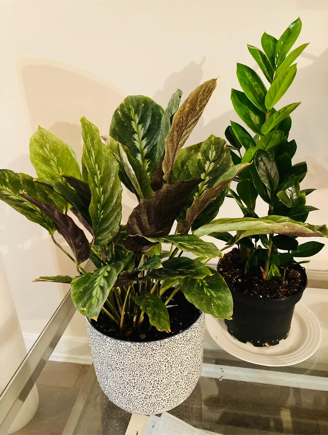 White Ceramic Plant Pots - Set of 7 image indicator(4)