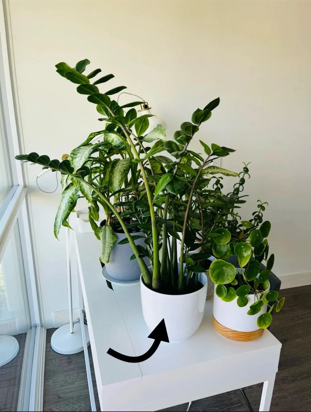 White Ceramic Plant Pots - Set of 7 image indicator(8)