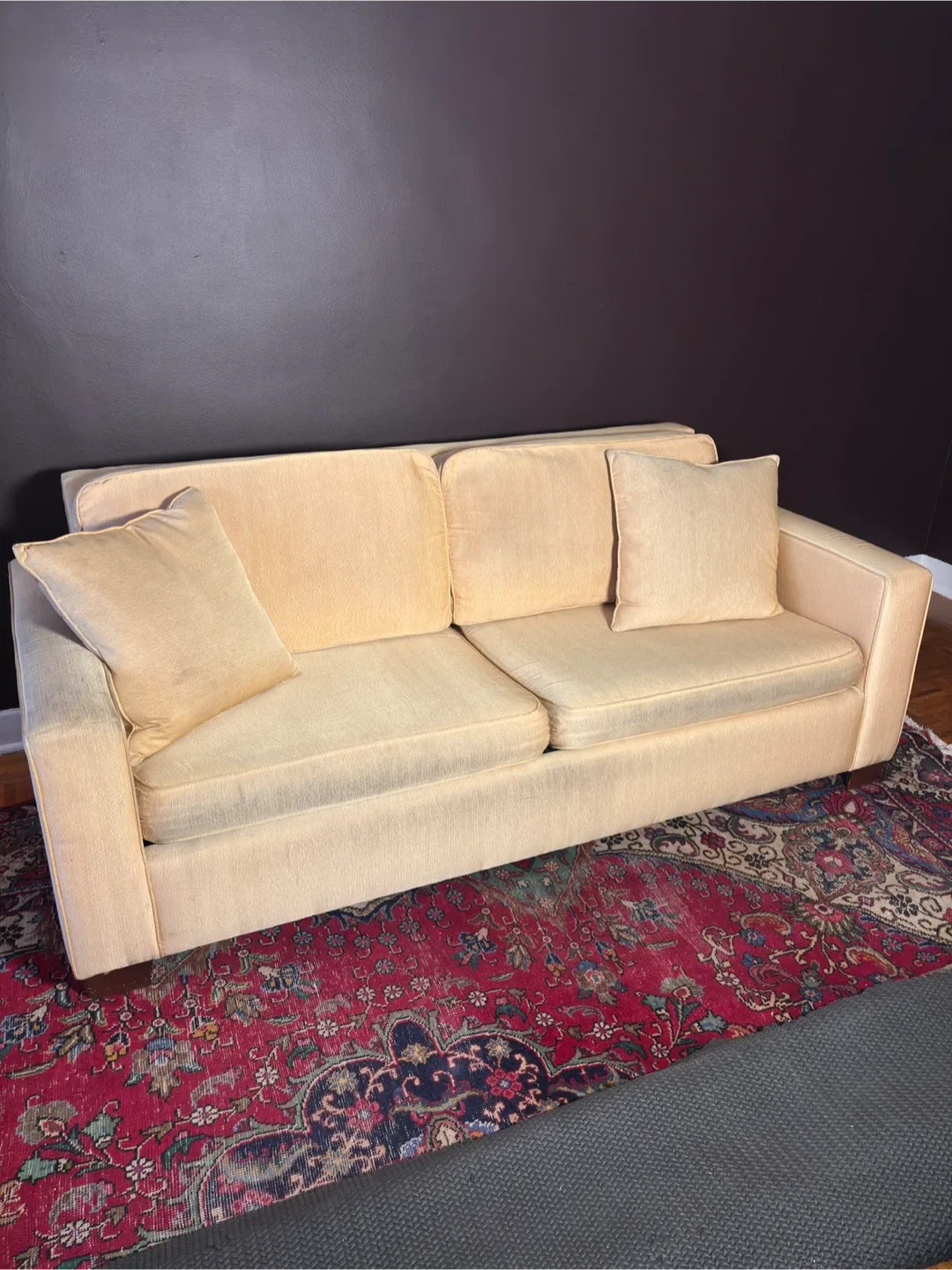 Pull-Out Sofa Bed - Moving Sale!