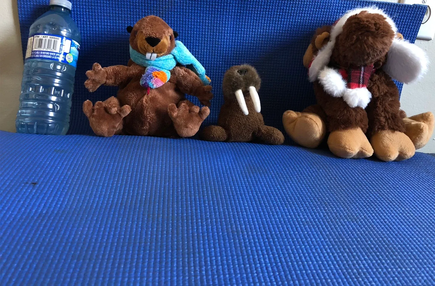 Kirkland Plush Toys: Beaver, Moose, and Unknown
