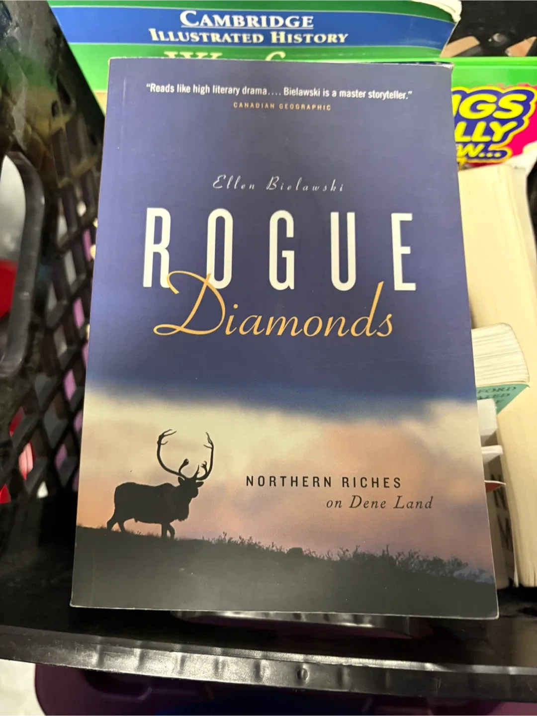 Rogue Diamonds by Ellen Bielawski