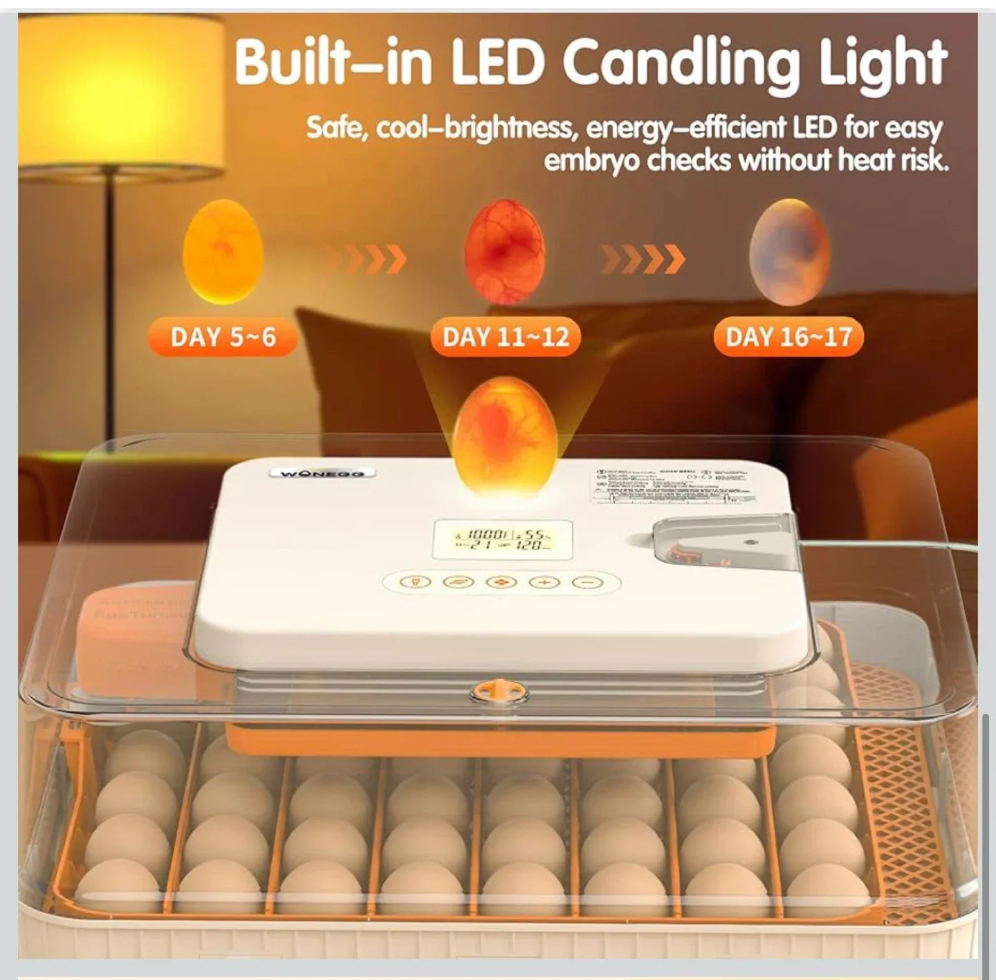 56 Eggs Incubator - Automatic Egg Turner image indicator(7)