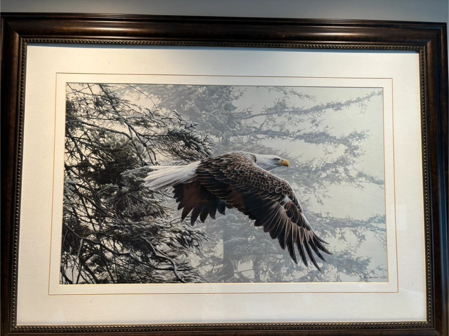 Eagle in flight framed - photo 3