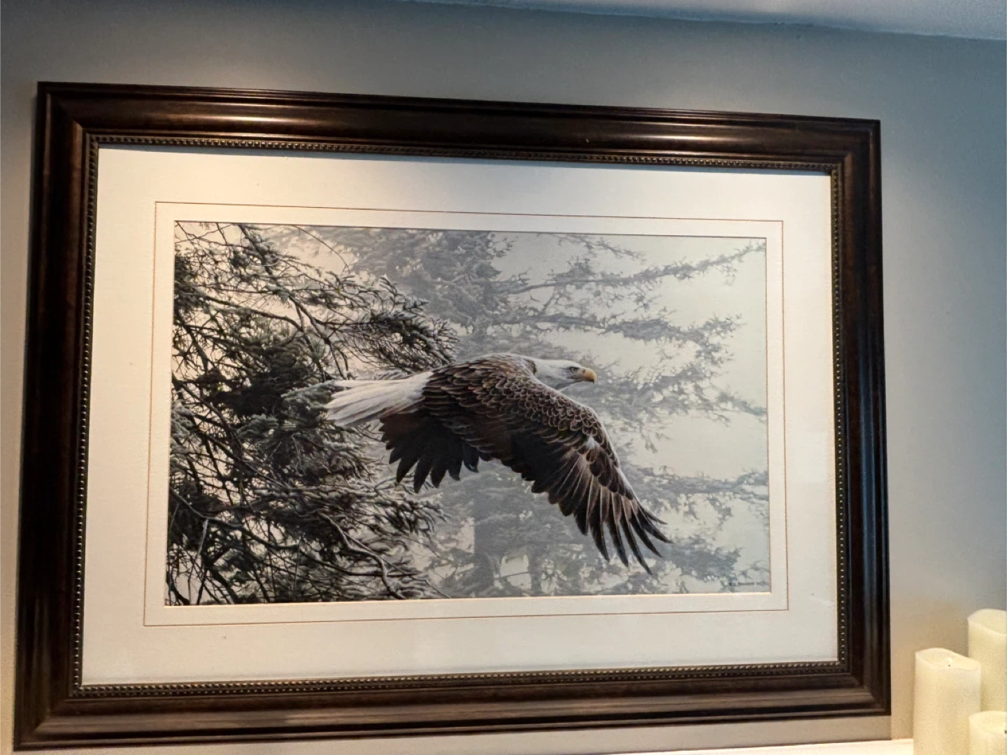 Eagle in flight framed