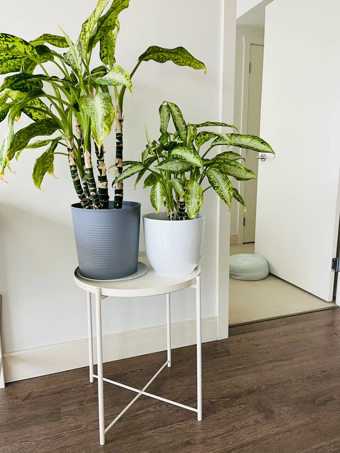 Tray Table - White IKEA GLADOM image indicator(4)