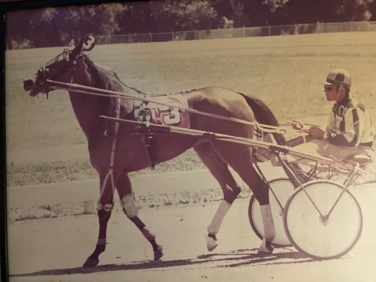 Vintage framed photo of Sissy Spur 6,2:04.1f ($100,689) image indicator(4)