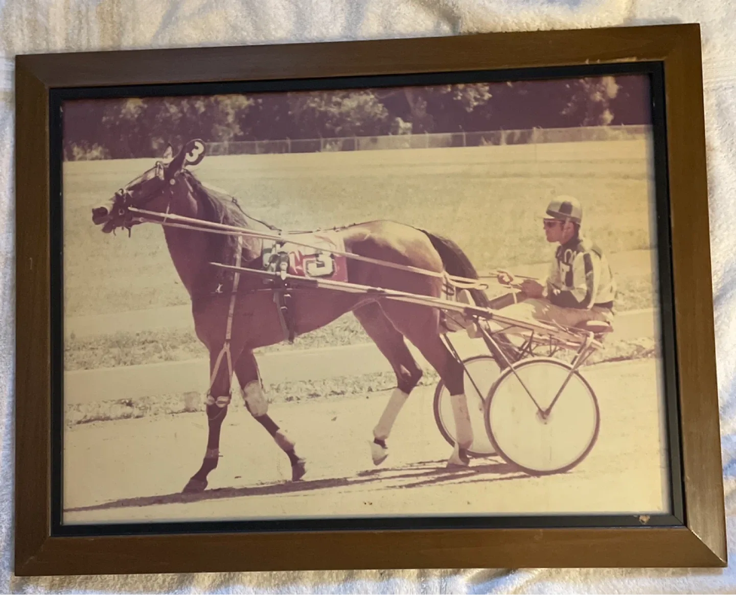 Vintage framed photo of Sissy Spur 6,2:04.1f ($100,689)