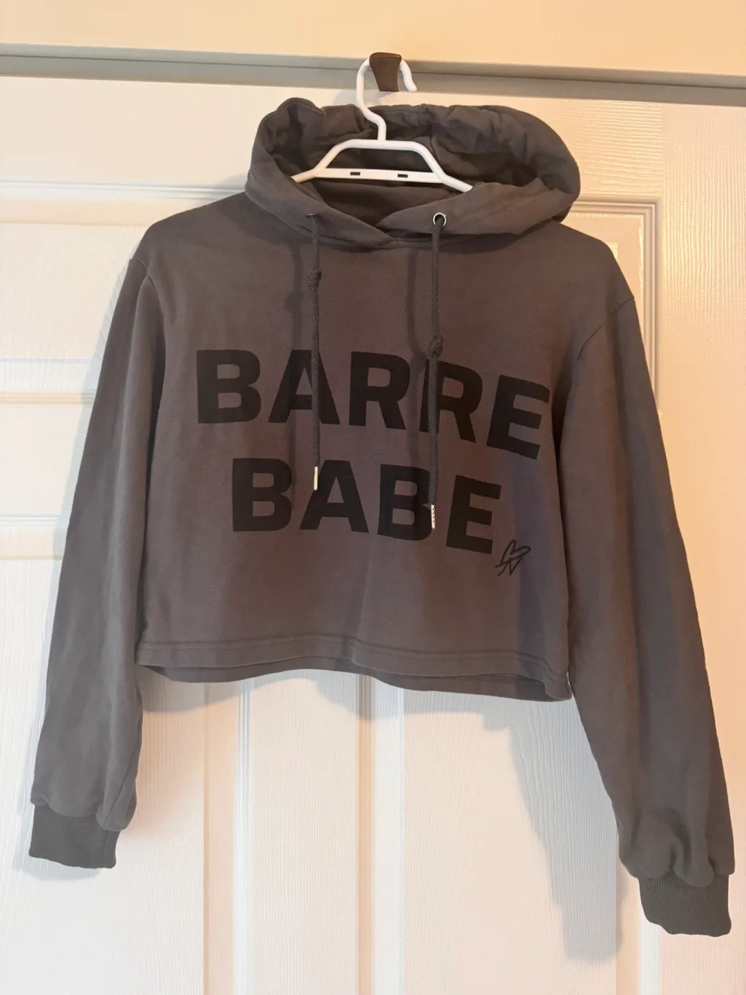 Barre Babe Cropped Hoodie - Size Small image indicator(4)