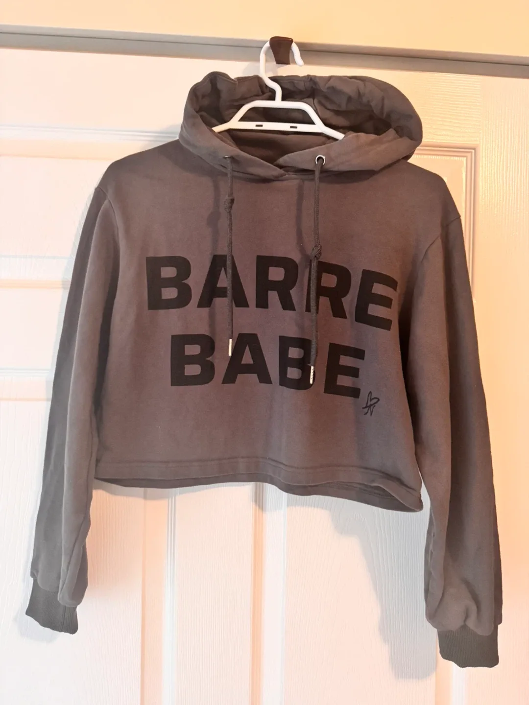 Barre Babe Cropped Hoodie - Size Small