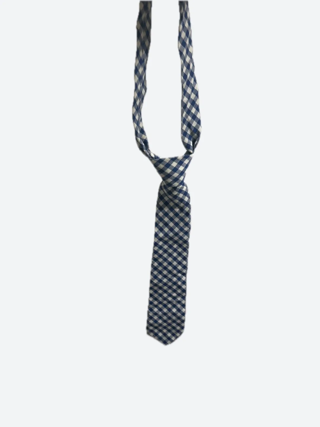 Blue & White Gingham Necktie
