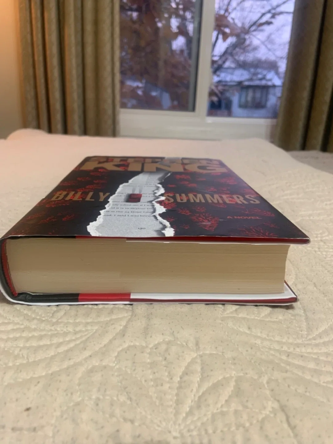 Billy Summers by Stephen King image indicator(10)