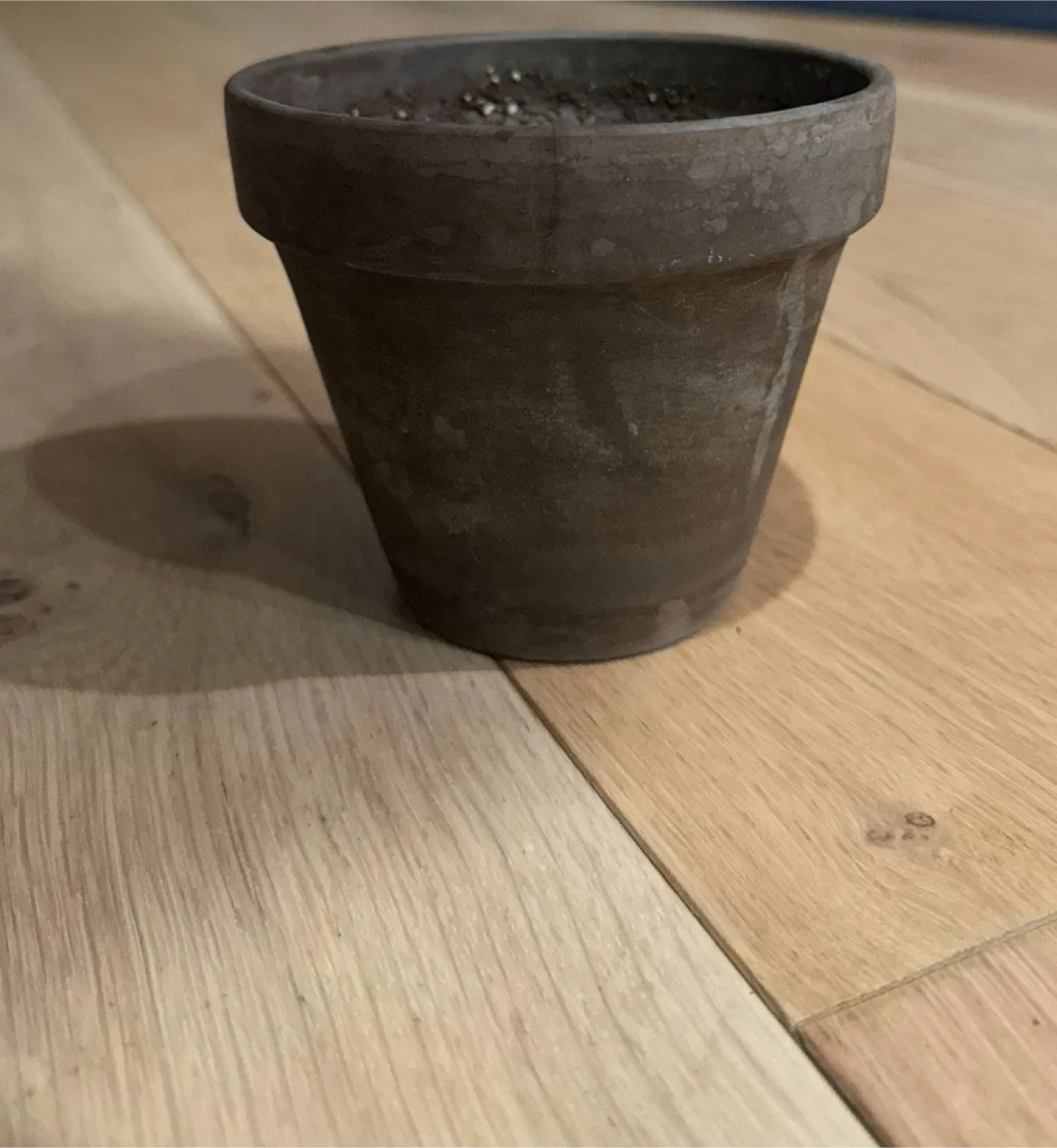 Set of 6 Planter pots,Microgreens tray+ gardening products/seeds image indicator(9)