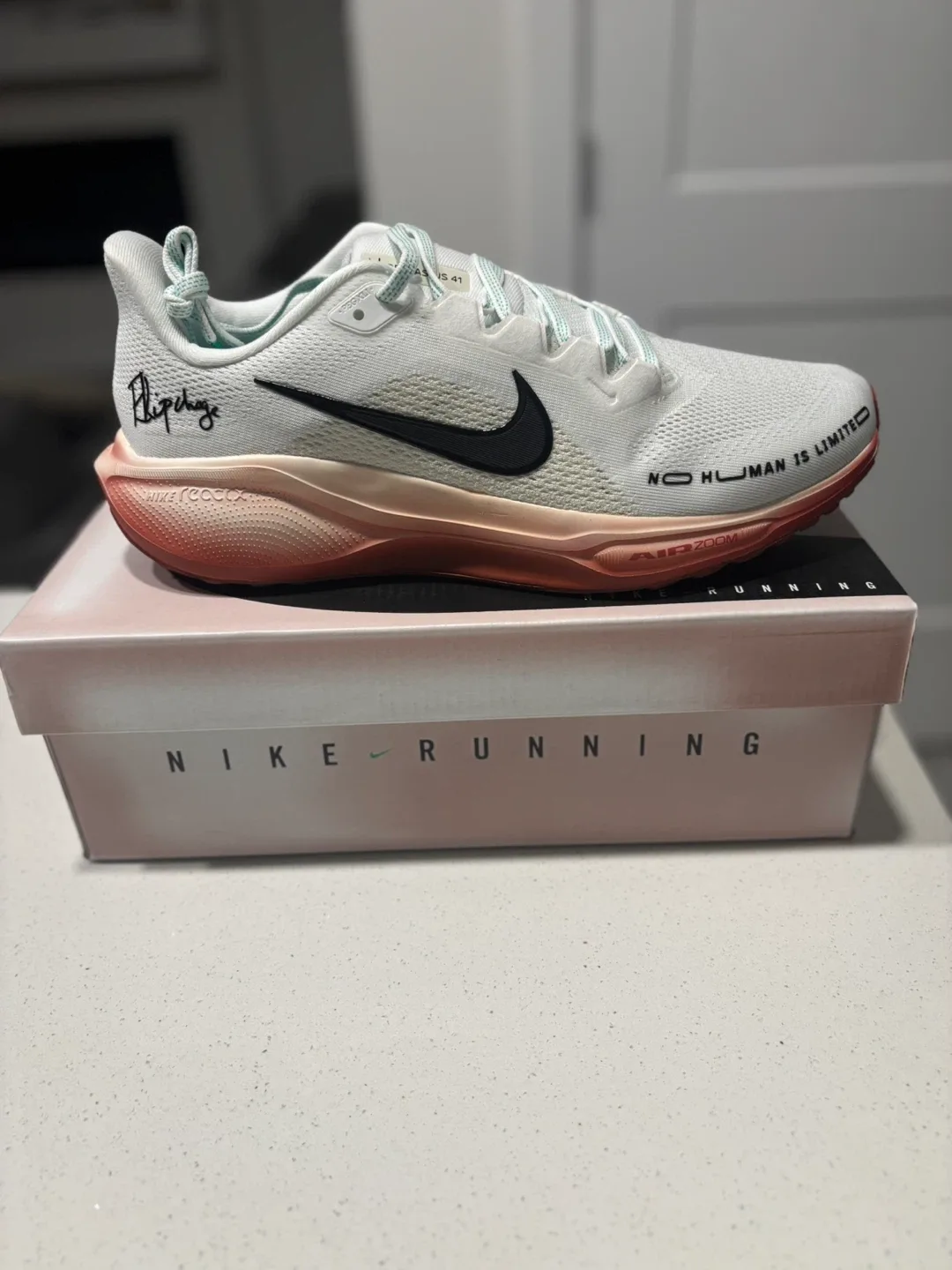 Nike Pegasus 41 air zoom  .  Size 11