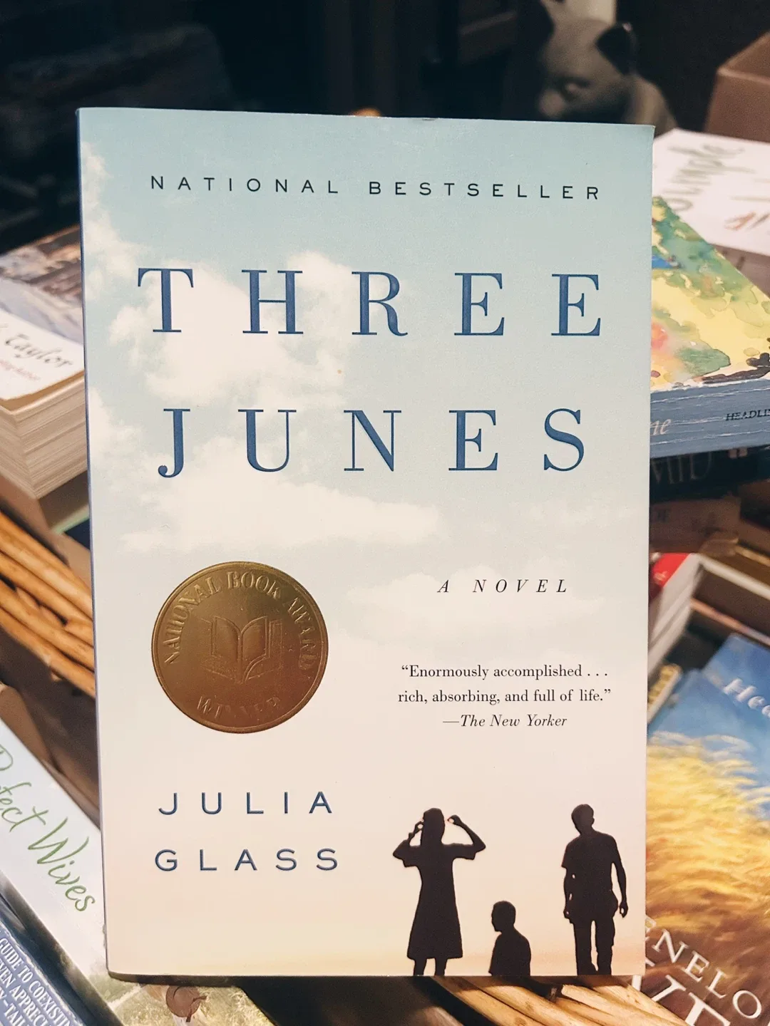 Julia Glass book!