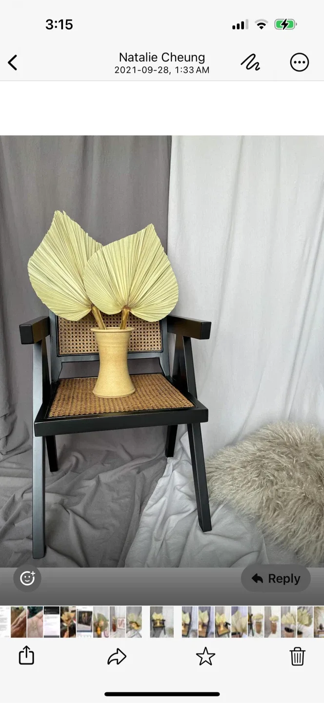 Home Decor: Dried Palm Leaf Arrangement image indicator(2)