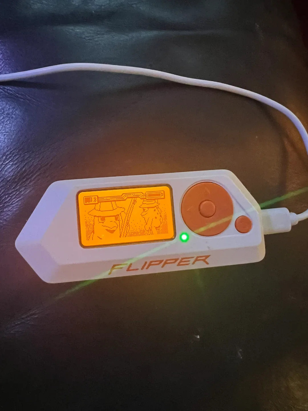 Flipper Zero Cyber Dolphin