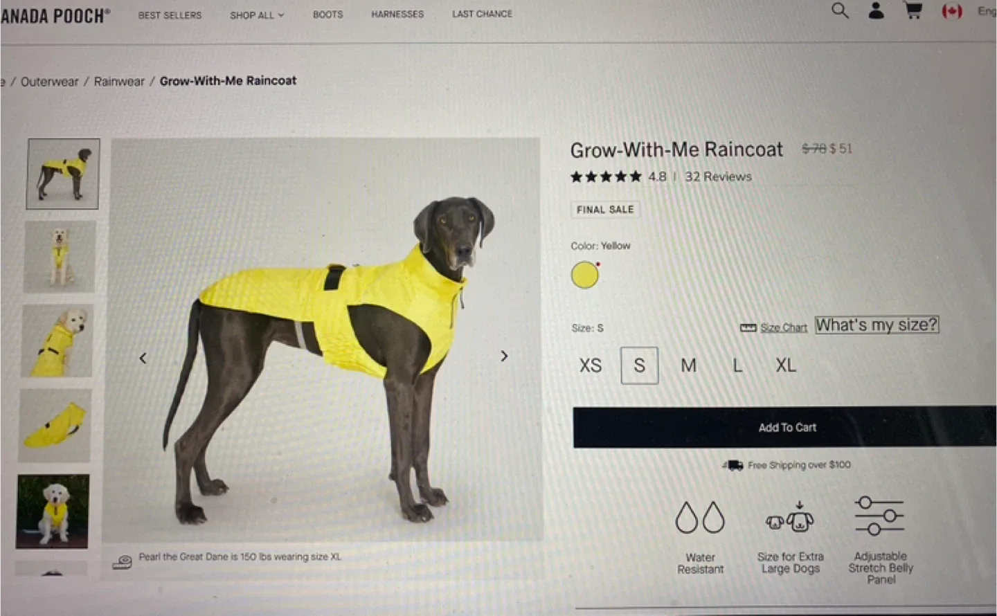 Canada Pooch Grow-With-Me Raincoat - Yellow, Size S