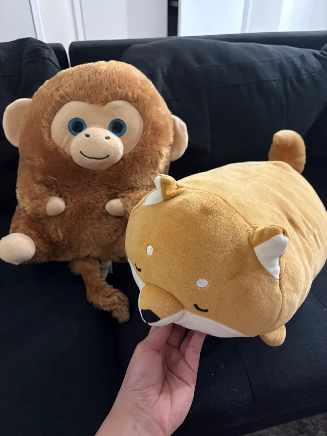 Stuffed animals- Toys