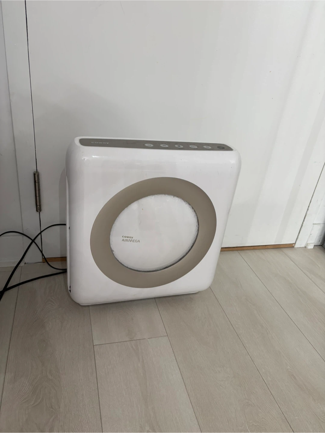 Coway Airmega Air Purifier